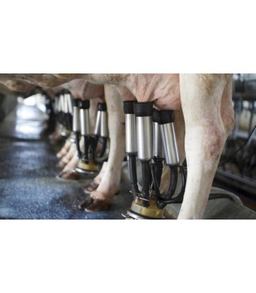 Unidad Ordeño Mc-53