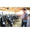 Sistema de detección de celos Nedap Cow Control + Puerta Separadora (opcional)