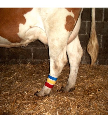 Banda marcadora velcro bolsa 10 Unidades