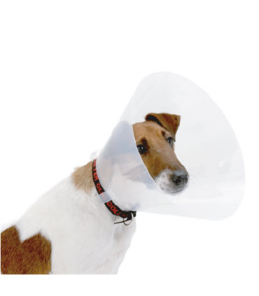 Collar isabelino Buster para perro 25 cms sin perforación