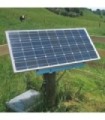 Panel Solar Trutest 10W