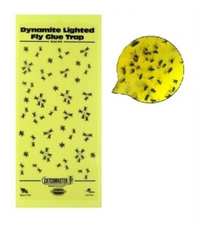Trampa para insectos con pegamento Mod N 925 Unidad