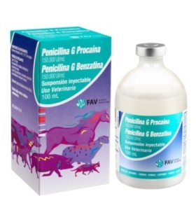 Penicilina procaina + benzatina 100 cc
