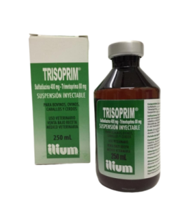 Trisoprim-480 250 cc