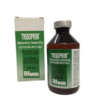 Trisoprim-480 250 cc