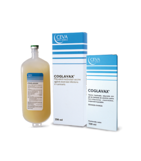 Vacuna Coglavax-8 250 ml