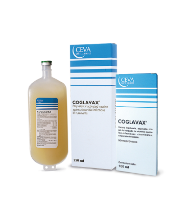 Vacuna Coglavax-8 250 ml