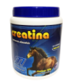 Creatina 500 grs