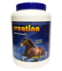 Creatina kilo