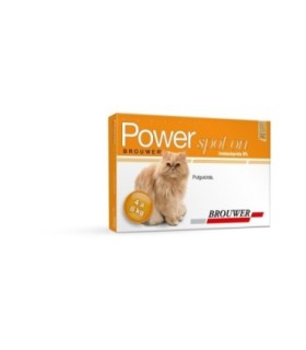 Power 1 ml para gato de 4-8 kgs