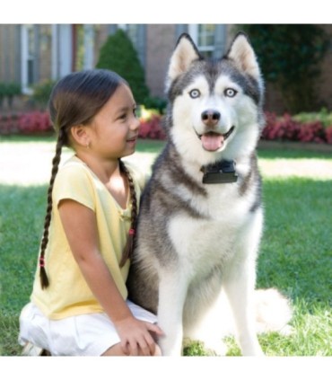 Kit de cerco eléctrico PETSAFE para perro grande