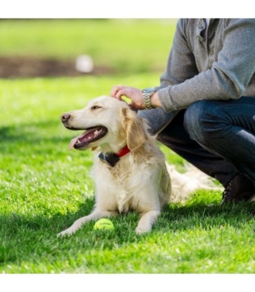 Collar PETSAFE perro grande