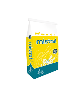 Mistral 25 kgs