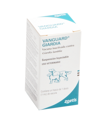 Vacuna Canino Vanguard Giardia 1D