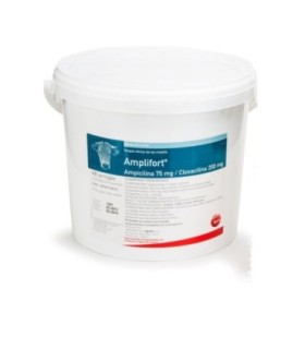 Amplifort 12 jeringas