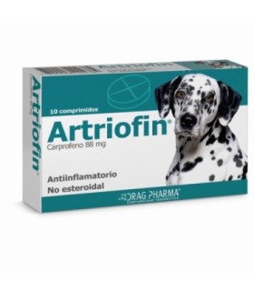 Artriofin 88 mg 10 comprimidos