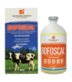 Bofoscal 500 cc