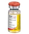 E.C.P estradiol 10 ml