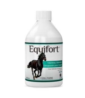 Equifort jarabe 500 cc