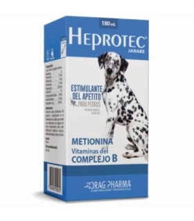 Heprotec jarabe 180 cc