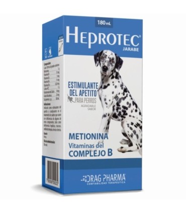 Heprotec jarabe 180 cc