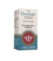 Ovolute 20 cc