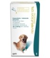 Revolution 12% pipeta 2 ml para perros de 20 a 40 kgs