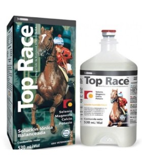 Top Race 530 ml