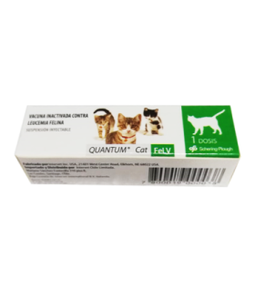 Vacuna gato Quantum cat FeLV dosis