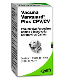 Vacuna perros Vanguard parvo-corona plus