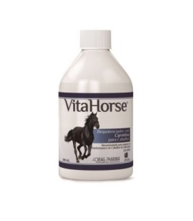 Vitahorse 500 cc