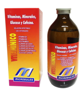 Vitaminas, minerales, glucosa y cafeína 500 ml