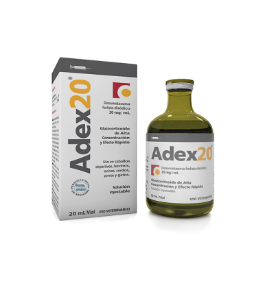Adex 20 20 cc