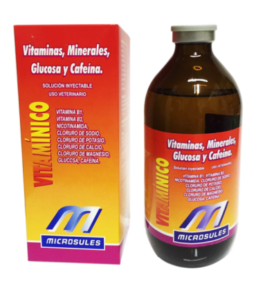 Vitaminas, minerales, glucosa y cafeína 250 ml