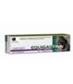 Equigastrin pasta 4 jeringas