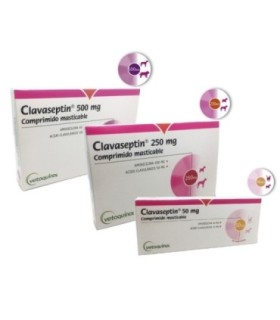 Clavaseptin 250 mg 10 comprimidos