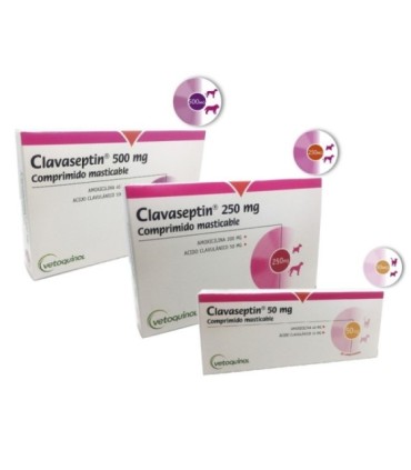 Clavaseptin 250 mg 10 comprimidos