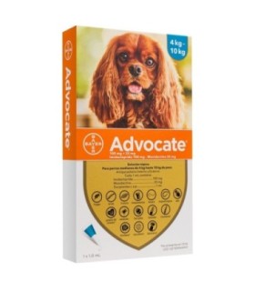 Advocate pipeta 1 ml para perros entre 4 - 10 kgs