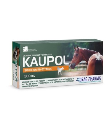 Kaupol equino inyectable 500 cc