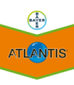 Atlantis 12.6 Wg (0,6 Kgs)