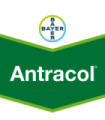 Antracol 70% Wp (1 Kg)