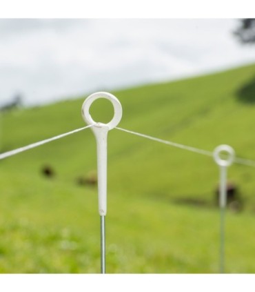 Estaca de anillo 850 x 6 mm