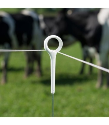 Estaca de anillo 850 x 6 mm