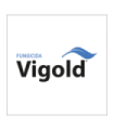 Vigold 1 Lt