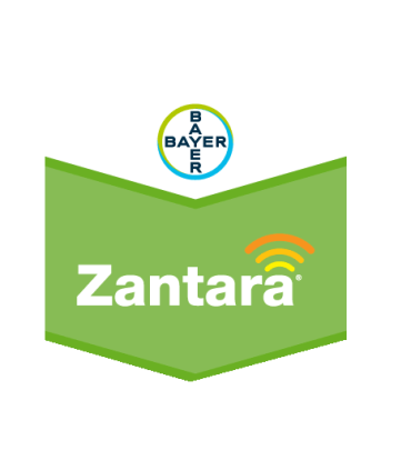 Zantara EC 225 1 litro