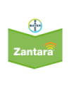 Zantara EC 225 1 litro