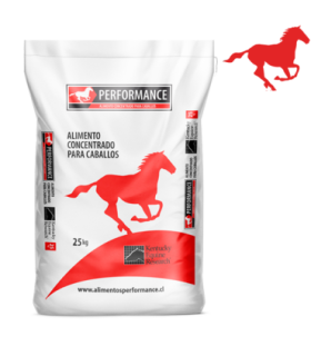Concentrado Equino Performance Training 25 Kgs