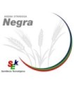 Semilla de Avena Estrigosa negra corriente