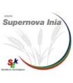 Semilla de Avena Super nova INIA certificado