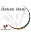 Semilla de Trigo Bakan Baer certificado